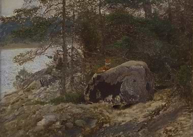 Fox on a Rock by the Lake