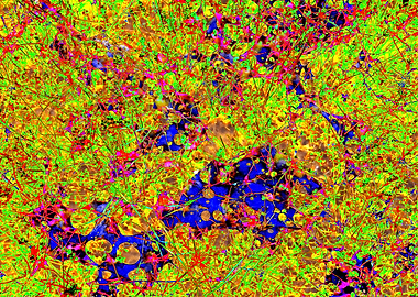 Abstract Colorful Network