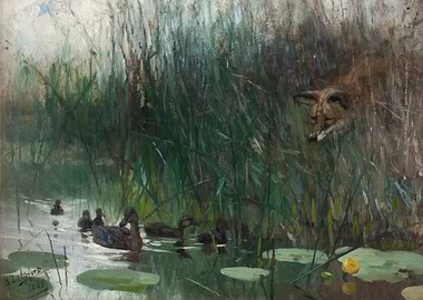 Fox watching ducks in a pond