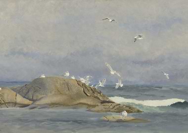 Seagulls on Rocks by the Sea