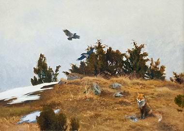 Fox and Crows in Winter Landscape