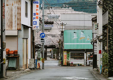 Quiet Japanese Street with Cherry Blossoms