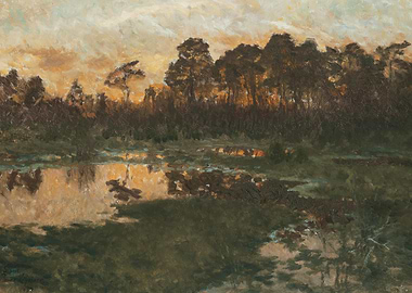 Sunset over a tranquil swamp landscape