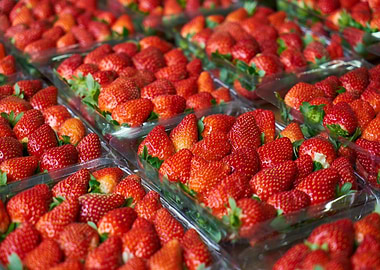 Fresh Strawberries in Clear Plastic Containers