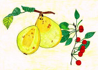 Pear and Cherries Colored Pencil Drawing - Orchard Harvest