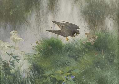 Falcon Hunting Bird Painting