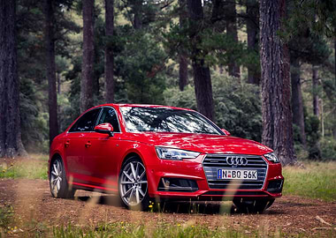 Red Audi A4 in Forest Setting