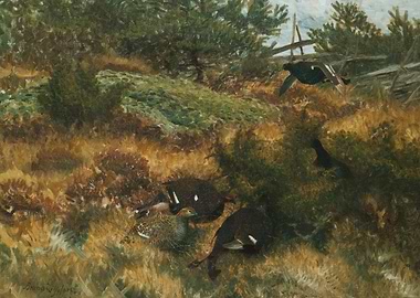 Grouse in the Highlands Painting