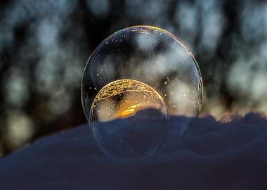 Frozen Bubbles in Winter Sunlight