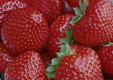 Fresh Red Strawberries Close-Up