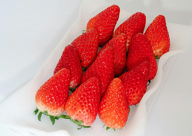 Fresh Strawberries in a White Container