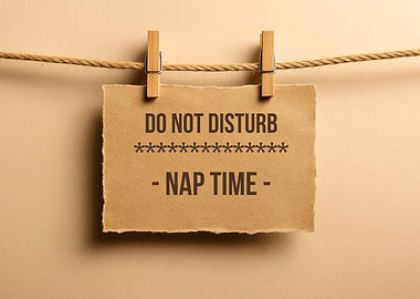 Do Not Disturb Nap Time Sign