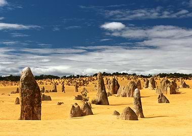 Pinnacles Desert: The Silent Assembly