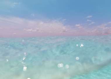 Dive into the Caribbean Sea 3