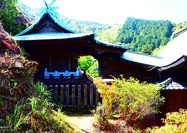 Japanese Temple in Lush Greenery