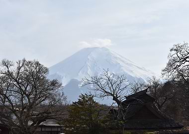 Mount Fuji with Traditional Japanese Architecture