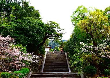 Stone Stairway to Japanese Temple