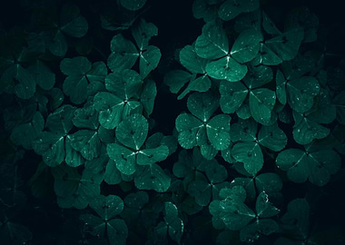 Emerald Green Clover Patch