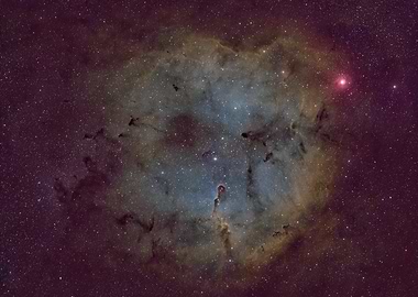 Elephant's Trunk Nebula in Deep Space