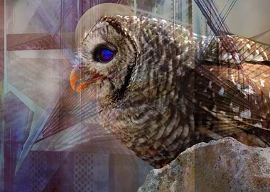 Hungry Little Hunter