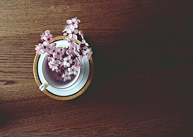 Cherry Blossoms in Teacup Still Life