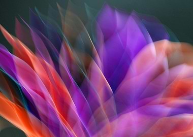 Abstract Floral Motion Blur