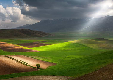 Sunlit Green Fields and Distant Mountains