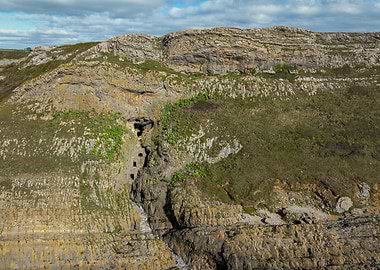 Coastal Cliff with Caves and Vegetation