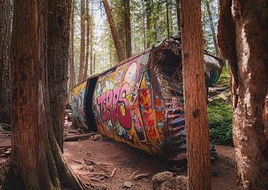 Graffiti Train Car in Forest