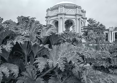 Palace of Fine Arts, San Francisco