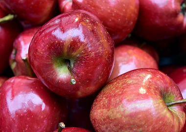 Pile of Shiny Red Apples