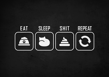 Eat Sleep Shit Repeat Funny Cat
