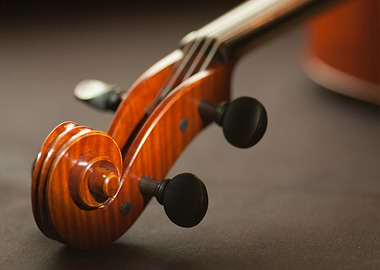 Close-up of a Violin Headstock