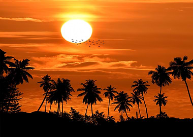 Tropical Sunset with Palm Trees Silhouette