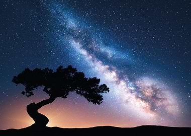 Milky Way over Silhouette Tree
