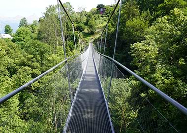 Suspension Bridge Over Lush Greenery