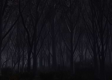 Dark Forest with Glowing Eyes