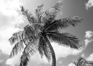 Lush Glam Palm Tree 2