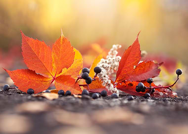 Autumn Leaves and Berries Still Life