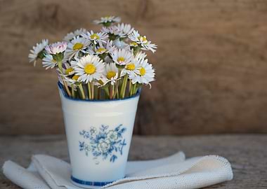 Daisies in a Blue and White Vase