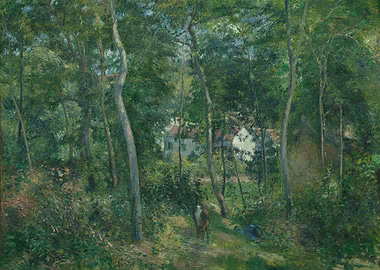 Forest Scene Painting