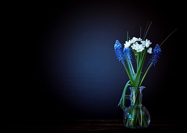 Blue and White Flowers in Vase