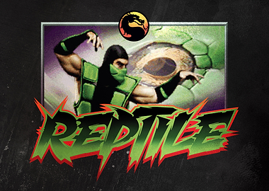 Reptile's Gaze: Mortal Kombat Warrior
