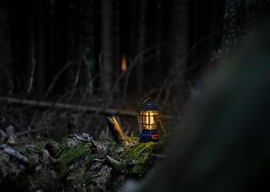 Lantern in Dark Forest