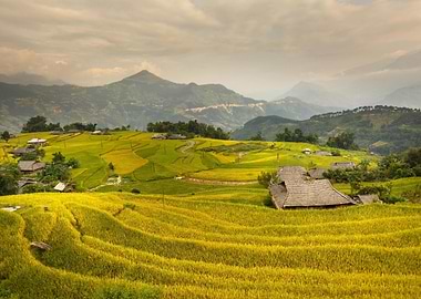 Terraced Rice Fields in Mountainous Landscape