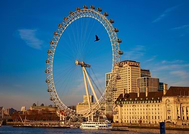 London Eye with Bird in Flight