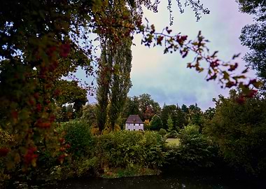 House in the Woods by the Water