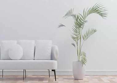 Minimalist Interior with White Sofa and Plant