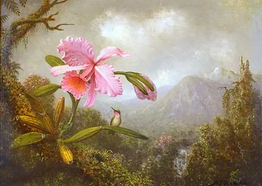 Orchid and Hummingbird in Tropical Landscape