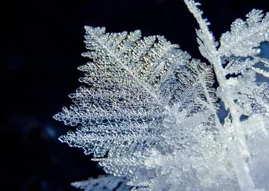 Macro Ice Crystal Formation on Dark Background